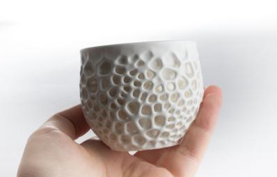 3D Printing Services (Rapid Prototyping & Custom Manufacturing)