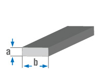 Flat Bar